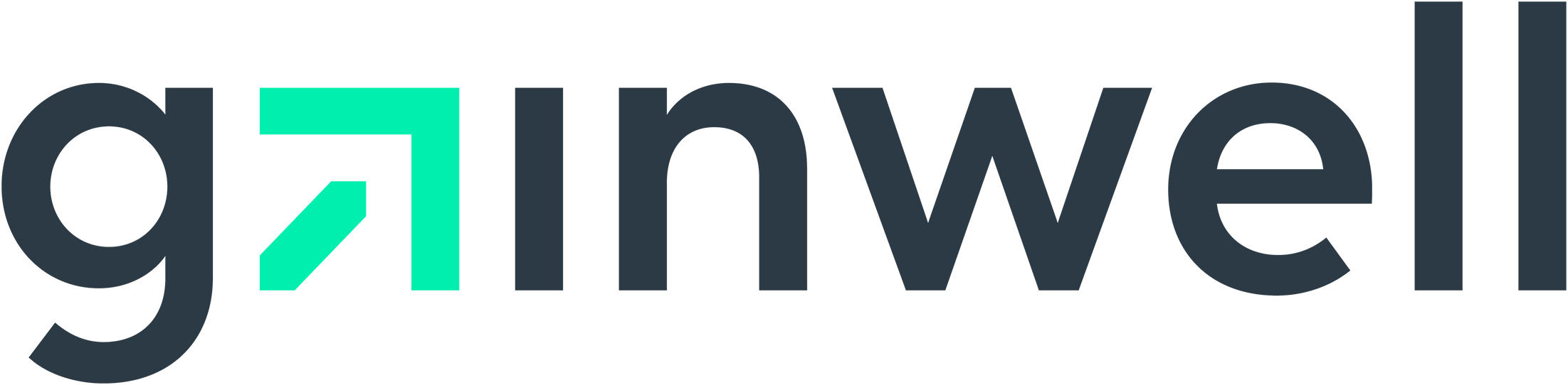 Gainwell Engineering