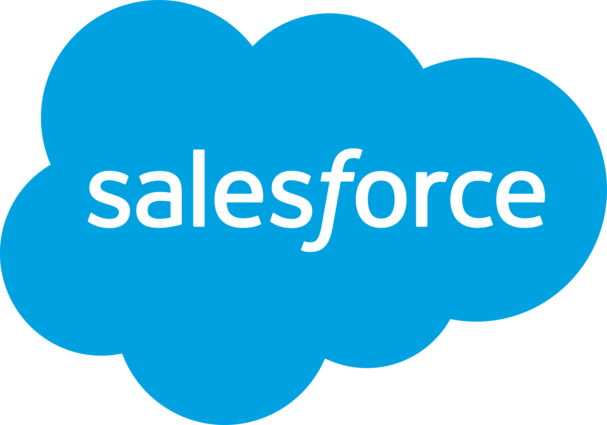Salesforce Partner Badge